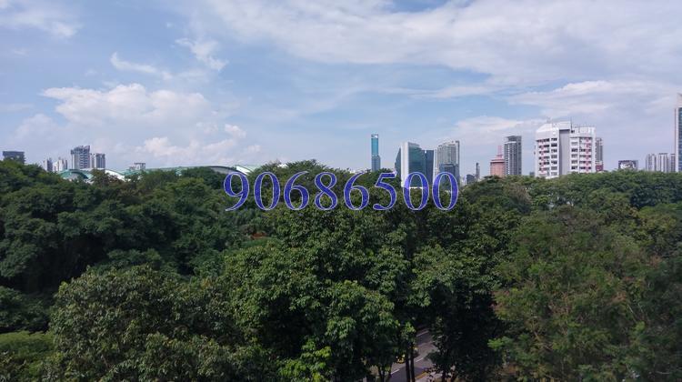 Rich Mansion (D10), Condominium #152576102